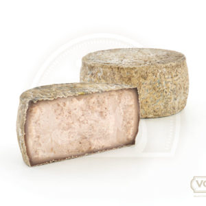 Pecorino di Roccastrada con Chianti