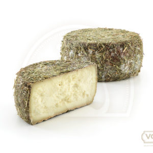 Pecorino di Roccastrada Sotto Fieno